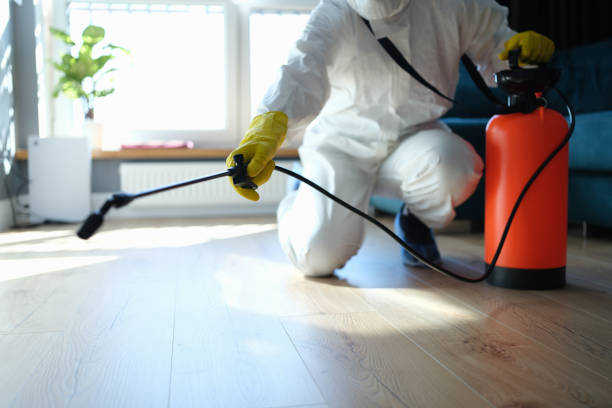 Reliable Odor Removal contractor in Manchester, VA by Trauma Clean Pros